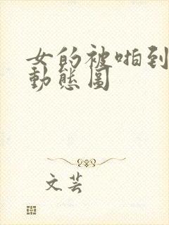 女的被啪到高潮动态图