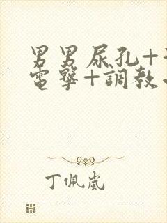 男男尿孔+灌+电击+调教小说