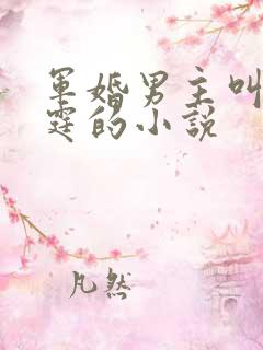 军婚男主叫霍北霆的小说