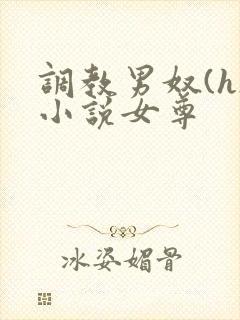 调教男奴(h)小说女尊