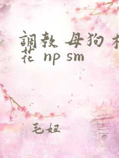 调教 母狗 校花 np sm
