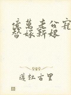 亿万老公宠上天替嫁新娘