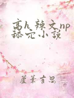 高h 辣文np舔穴小说
