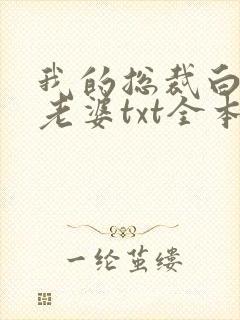 我的总裁白富美老婆txt全本小说