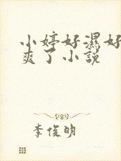 小婷好湿好紧太爽了小说