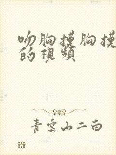 吻胸摸胸摸屁股的视频