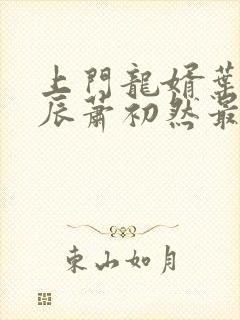 上门龙婿叶辰叶辰萧初然最新