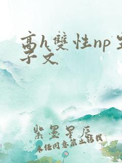 高h双性np生子文