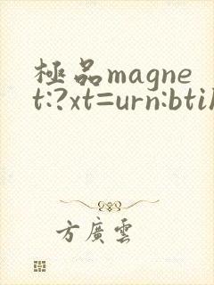 极品magnet:?xt=urn:btih