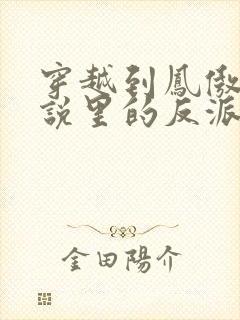 穿越到凤傲天小说里的反派