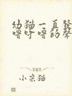 幼猫一直发出呼噜呼噜的声音是什么原因