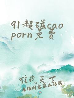 91超碰caoporn免费