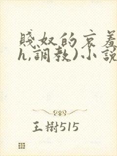 贱奴的哀羞(高h,调教)小说