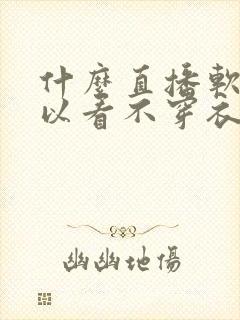 什么直播软件可以看不穿衣服的美女