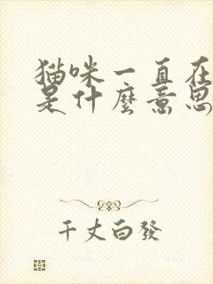 猫咪一直在踩奶是什么意思