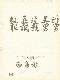 粗长道具进菊羞耻调教男男