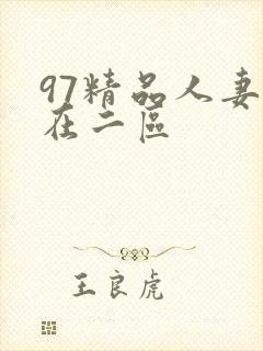 97精品人妻一在二区