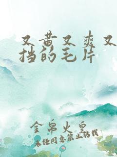 又黄又爽又不遮挡的毛片