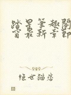 踏星笔趣阁无弹窗最新章节