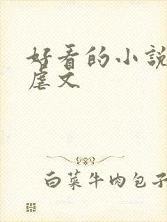 好看的小说推荐虐文