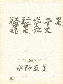 骆驼祥子是小说还是散文