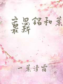 宋思铭和叶如云最新