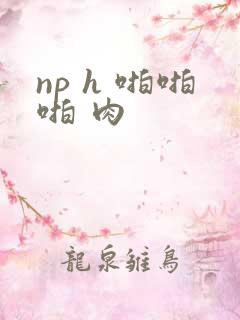 np h 啪啪啪 肉