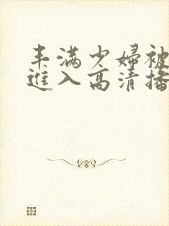 丰满少妇被猛烈进入高清播放,