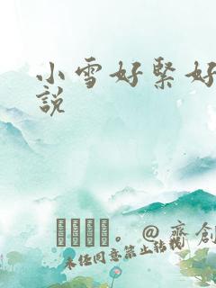 小雪好紧好大小说