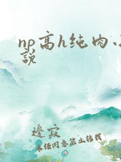 np高h纯肉小说