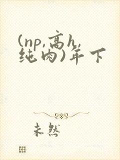 (np,高h,纯肉)年下