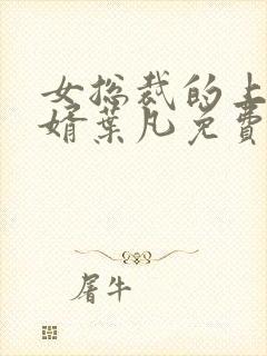 女总裁的上门女婿叶凡免费