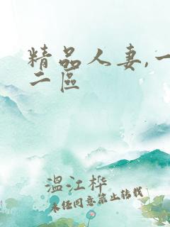 精品人妻,一区二区