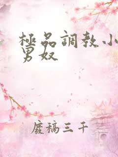 极品调教小鲜肉男奴