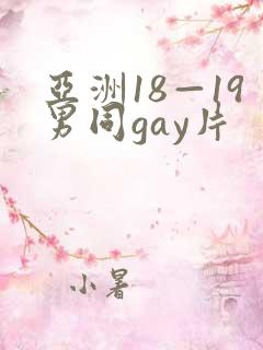 亚洲18—19男同gay片