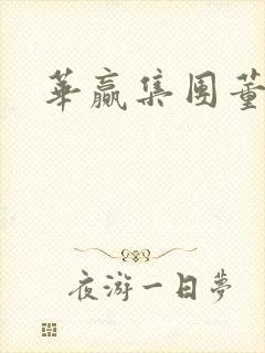 华赢集团董事长