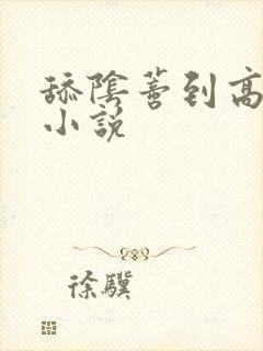 舔阴蒂到高潮的小说