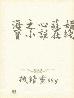 海之心苏媚赵大宝小说在线阅读
