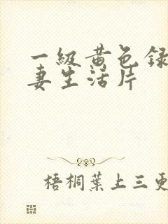 一级黄色录像夫妻生活片