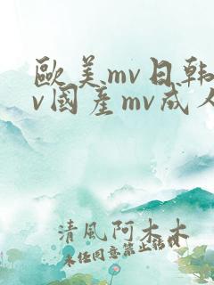 欧美mv日韩mv国产mv成人
