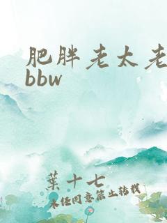 肥胖老太老熟妇bbw