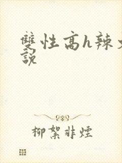 双性高h辣文小说