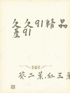 久久91精品国产91