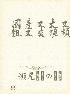 国产又大又黄又粗又爽视频