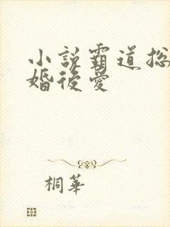 小说霸道总裁先婚后爱