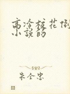 高冷校花倒追我小说的