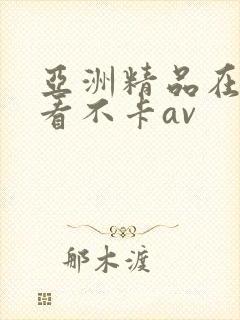 亚洲精品在线观看不卡av