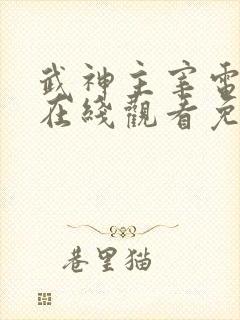 武神主宰电视剧在线观看免费全集