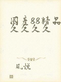 国产88精品久久久久久