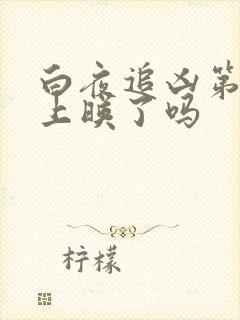 白夜追凶第二季上映了吗